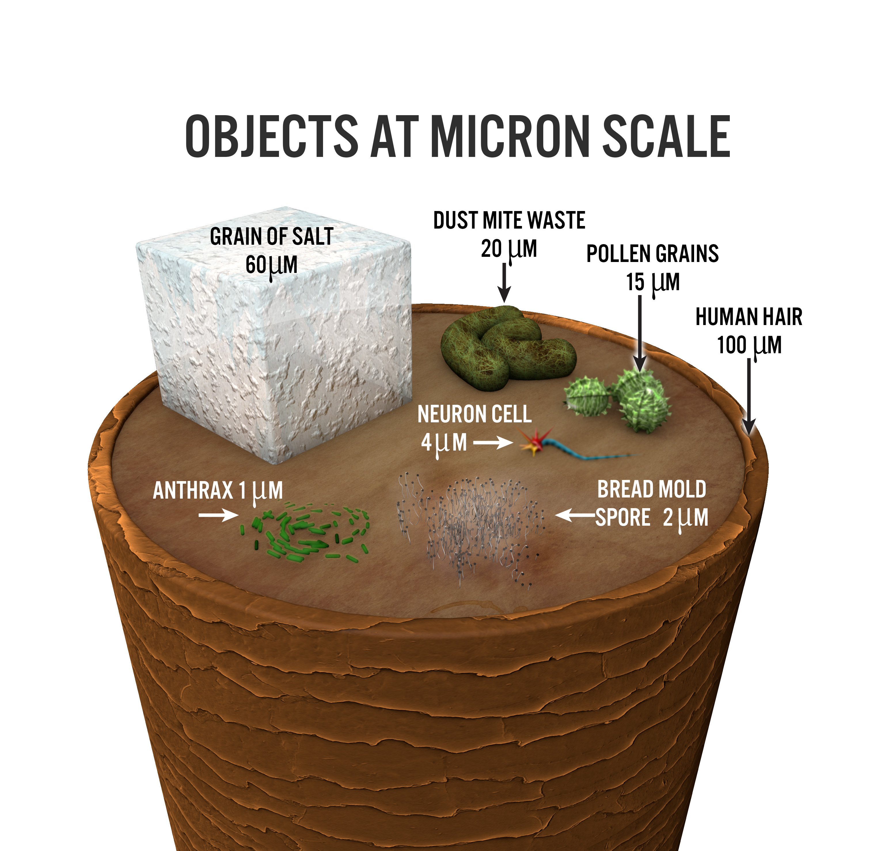 The Petro Post » Four Things to Know about Microns that Can Change Your  Fuel Filtration Game - The Petro Post